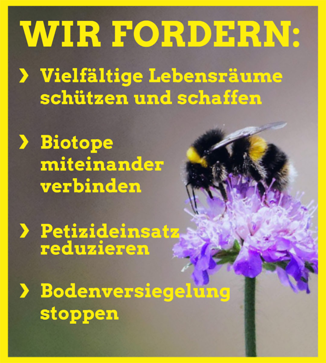Gutes Klima für Wildbienen & Co. 2 csm Artenvielfalt Forderungen Homepage badc398f09