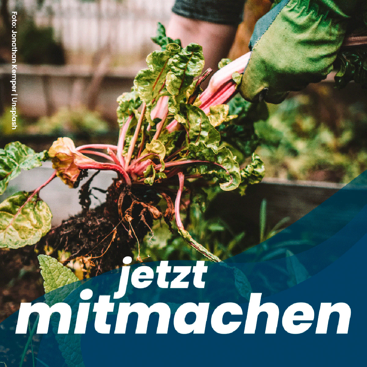 CD 23 HomepageKacheln Mitmachen