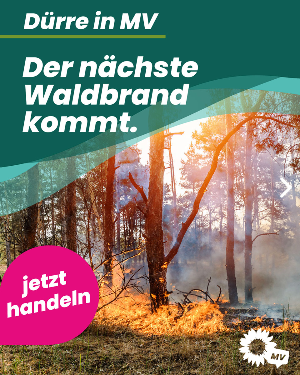 Startseite 1 230607 Waldbrand 1