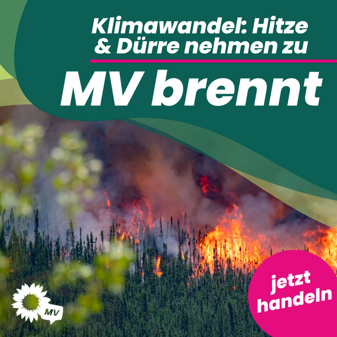 Startseite 3 230613 MVbrennt 1 2