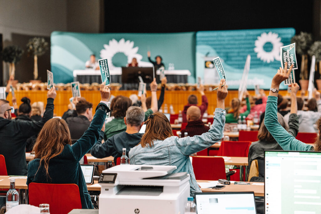 Bündnis 90/Die Grünen Mecklenburg-Vorpommern