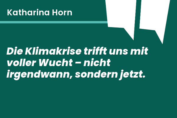 home 11 250429 Raps Horhnhecht 1