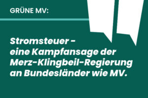 Presse 16 250626 Stromsteuer 1
