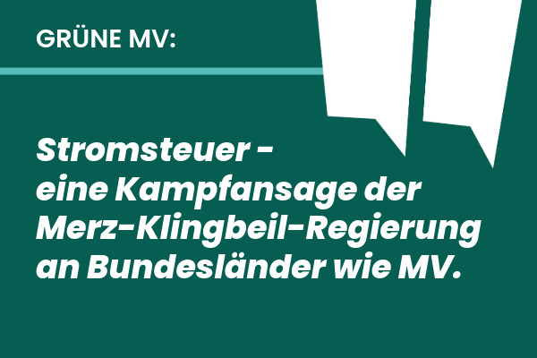 home 10 250626 Stromsteuer 1