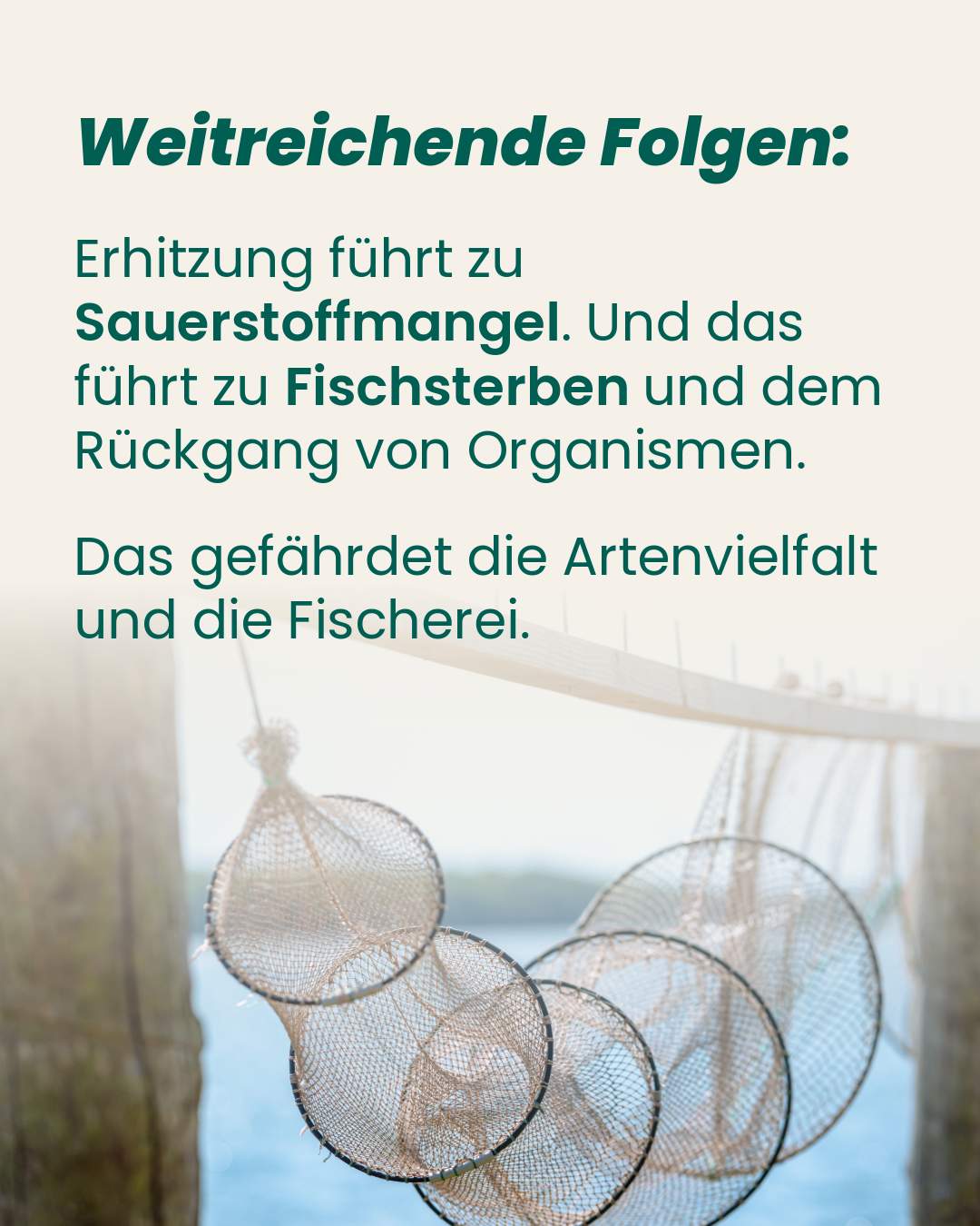Ostseeschutz 6 Ostsee-Fakten-3