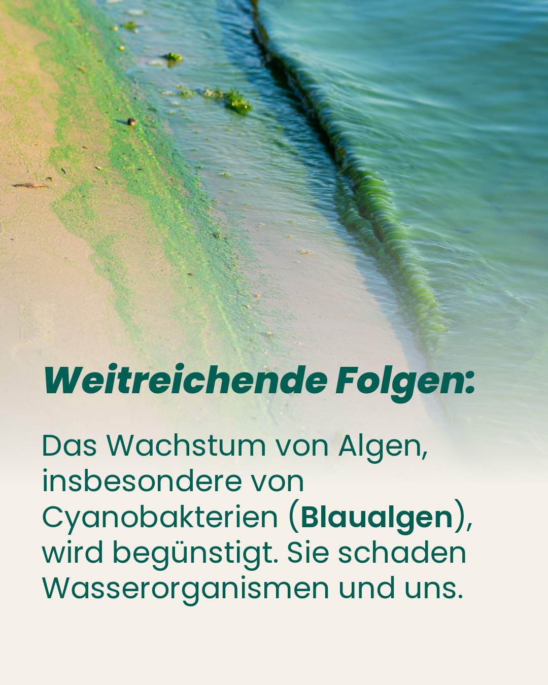 Ostseeschutz 7 Ostsee-Fakten-4