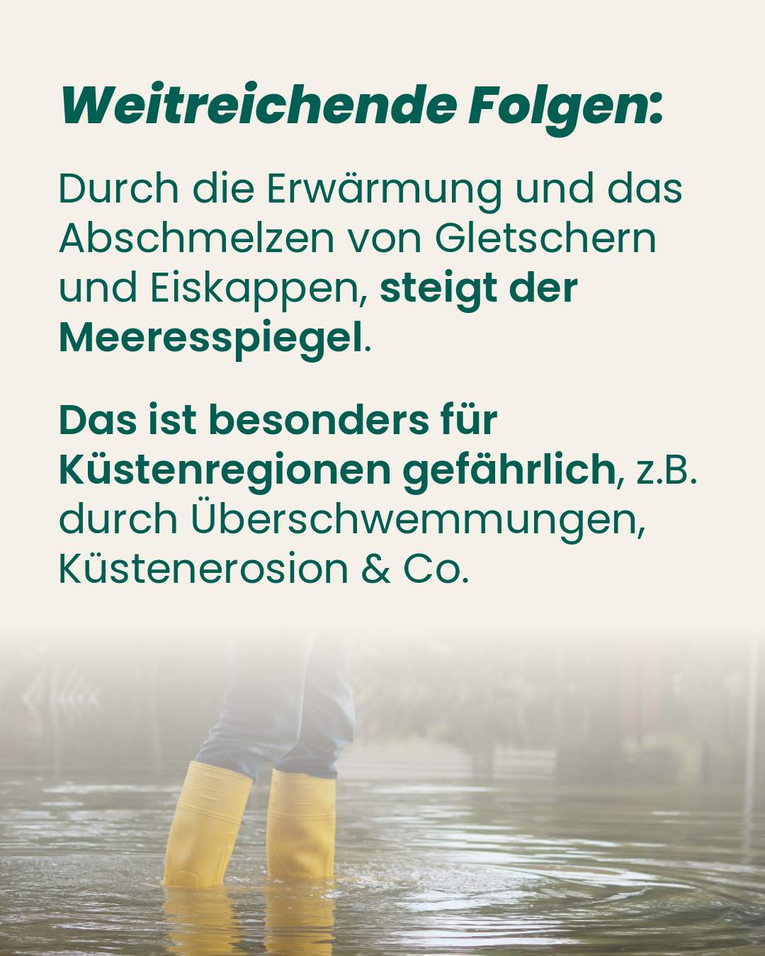 Ostseeschutz 8 Ostsee-Fakten-5