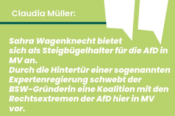 260223 Wagenknecht 11