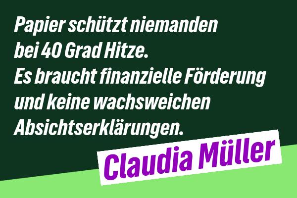 20260709 Claudia Umfrage R2G 3