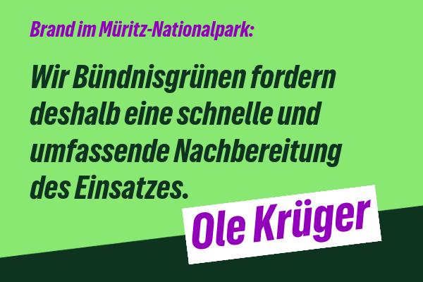 260724 Ole Waldbrand Mueritz